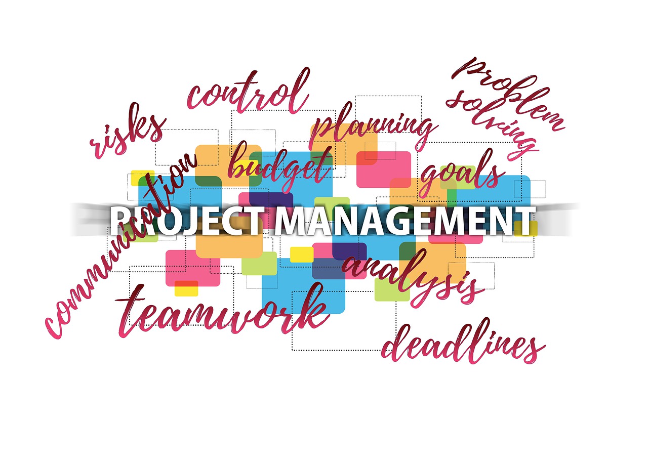 Program Management/TPM – What are the leadership elements? (IT/Software Industry)